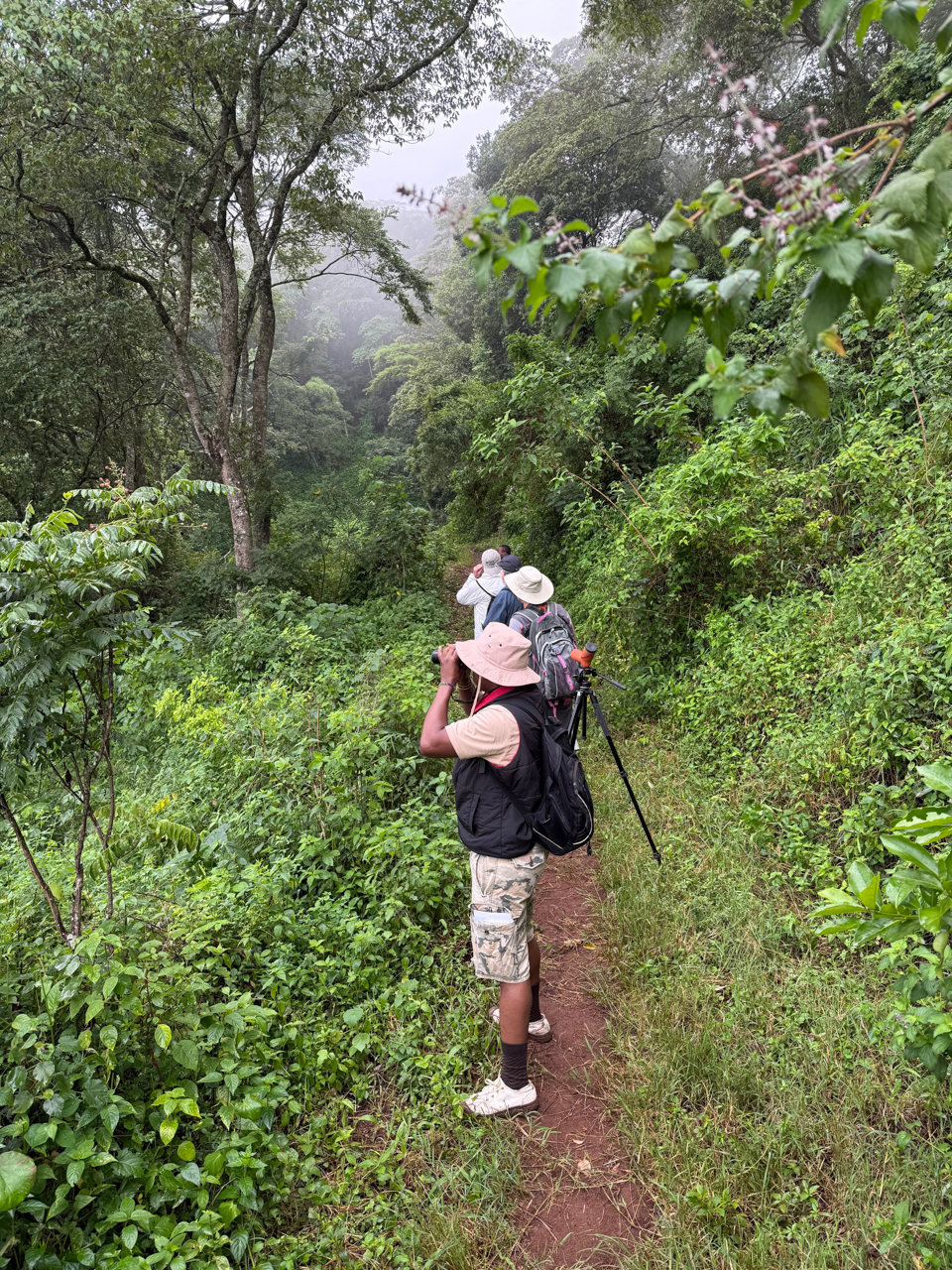 Endoro Forest Walk