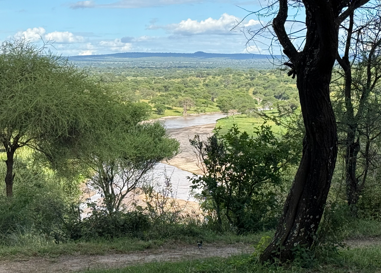 Tarangire Safari Lodge