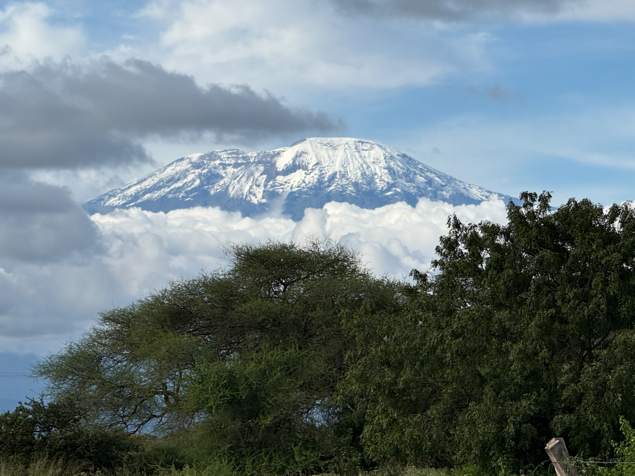 Kilimanjaro
