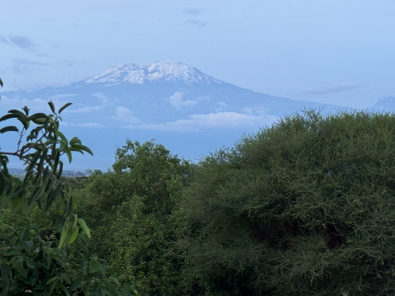 Kilimanjaro from KIA Lodge