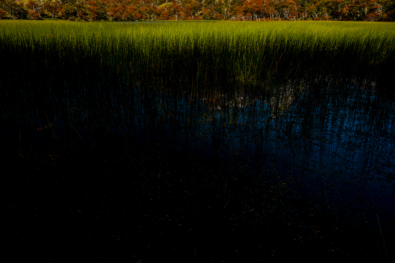 Laguna Verde