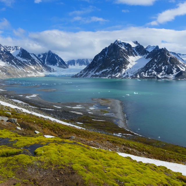 Magdalena Fjord