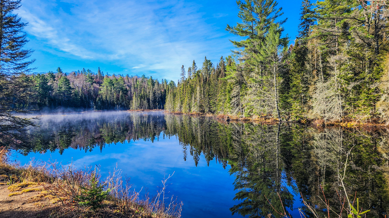 Mizzy Lake Trail Scenery