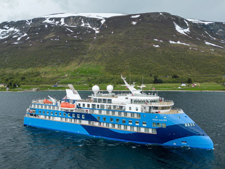Ocean Albatros