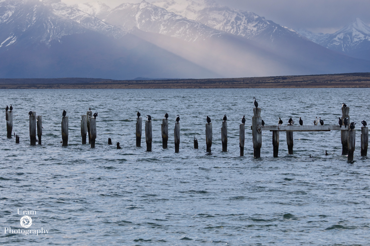 Old wharf in Puerto Natales