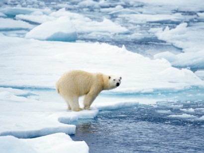 Svalbard Cruise: North to the Midnight Sun