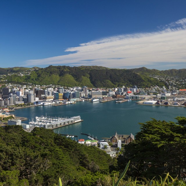 Wellington