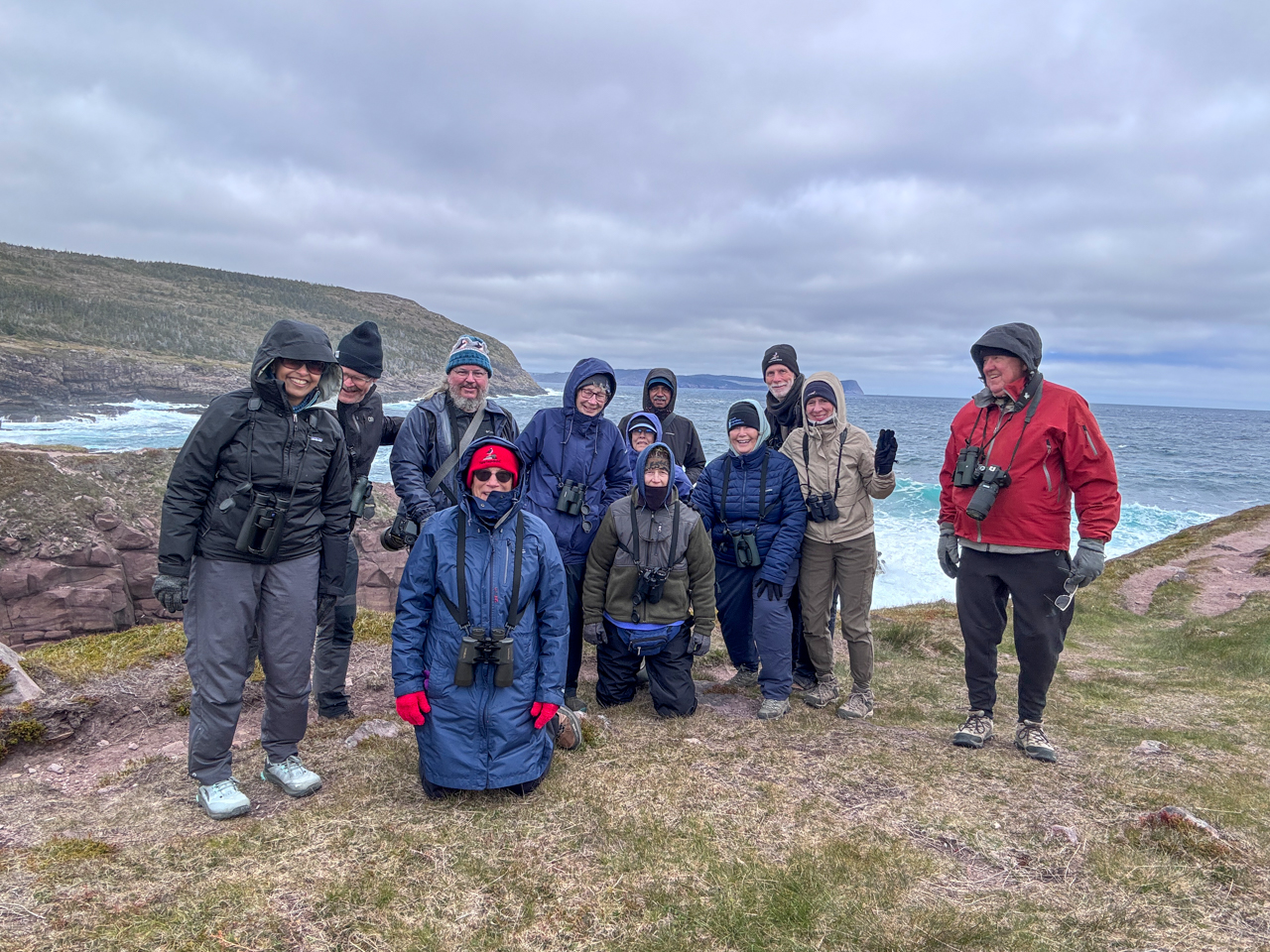 Newfoundland Birding Tour