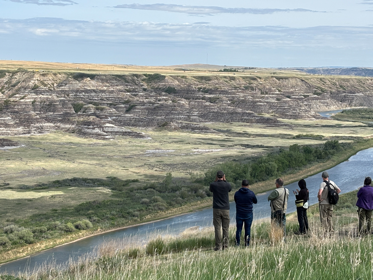 Alberta Birds & Dinosaurs birding tour