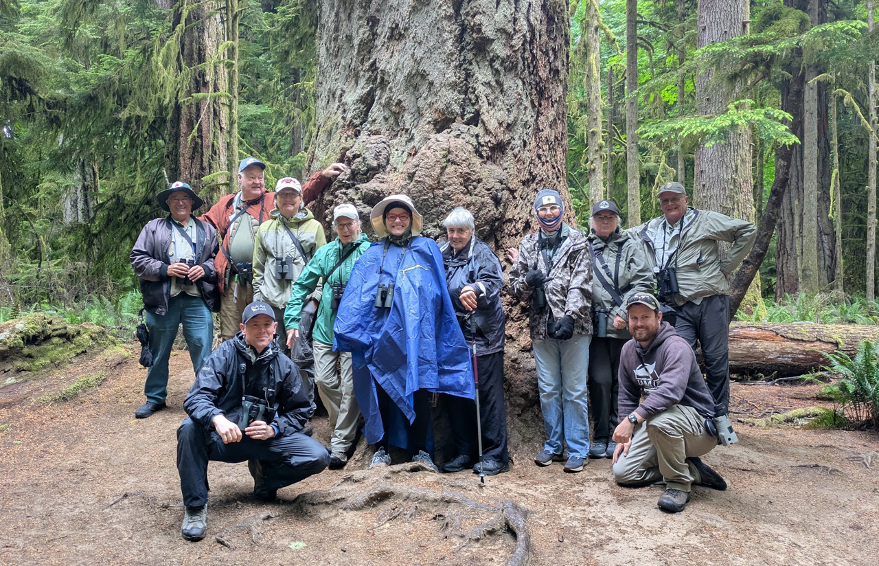 The BC group for 2026