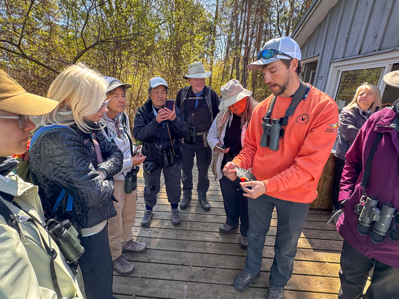 Bird banding demonstration