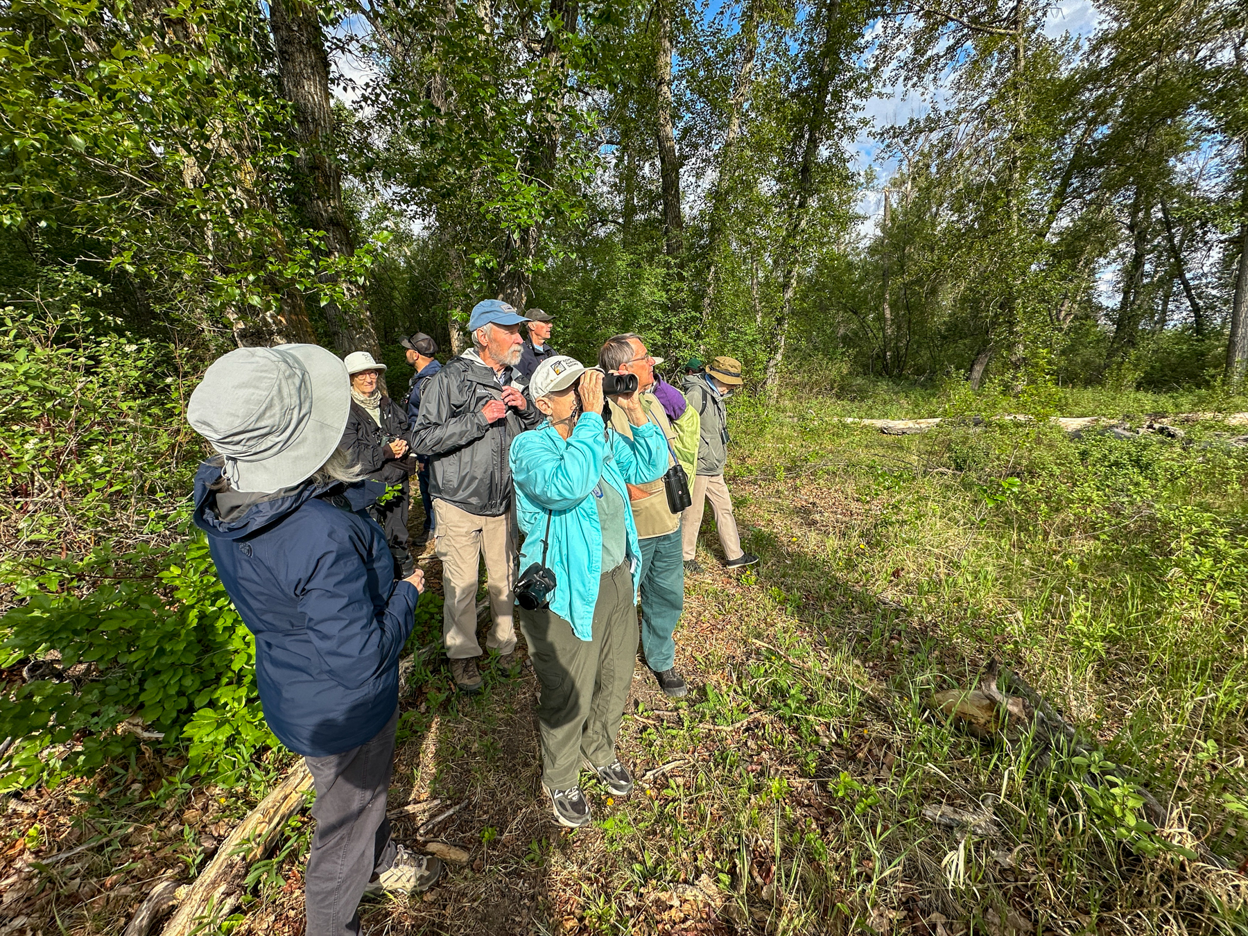 Birding McMullen Island