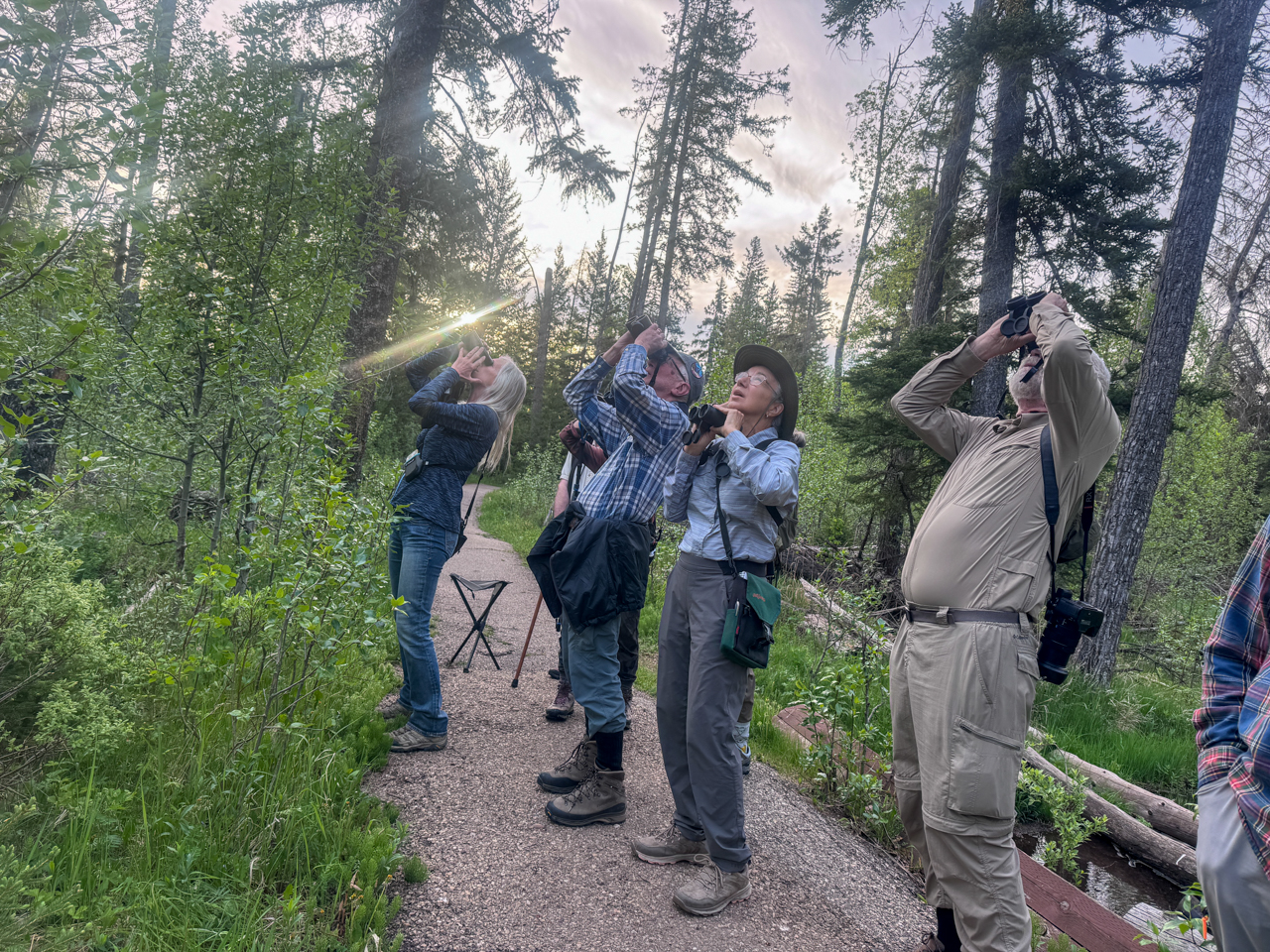 Birding in Saskatchewan