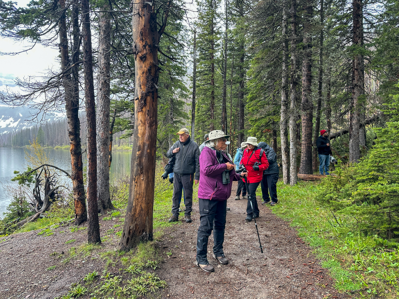 Birding at Cameron Lake