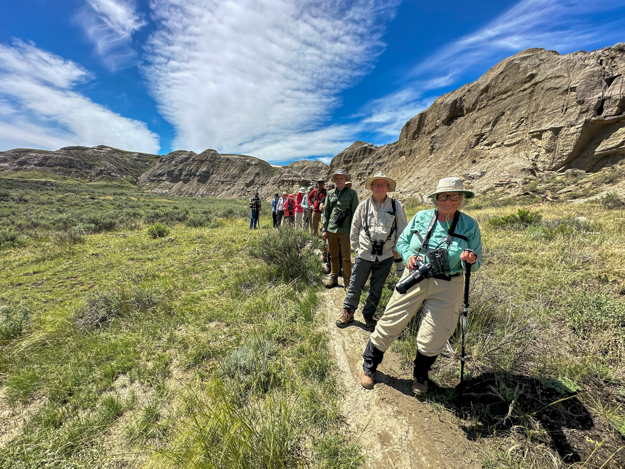 Birding in Dinosaur Provincial Park