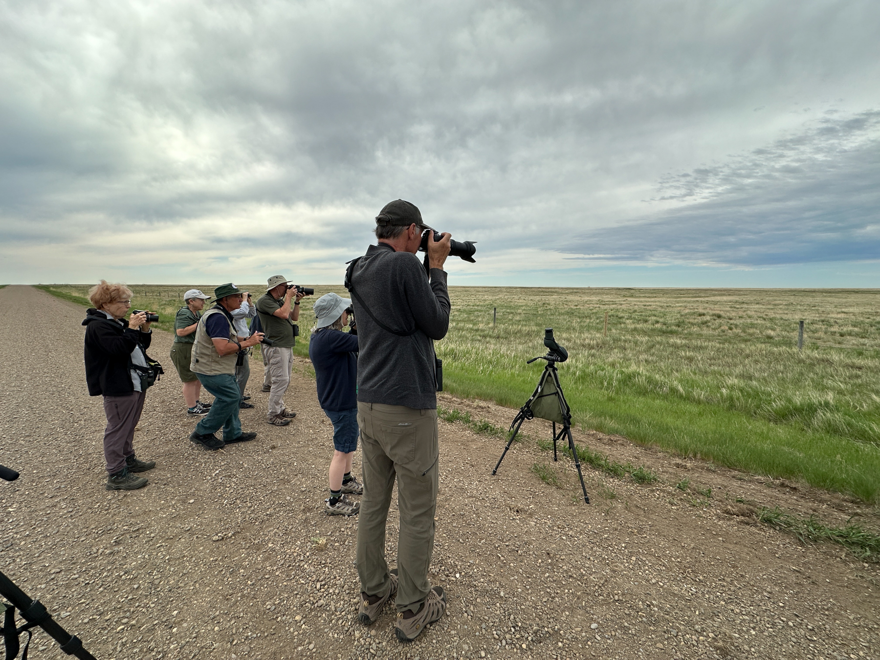 Birding the prairies