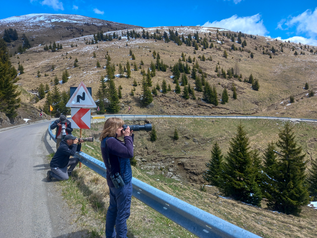Bucegi Mountains