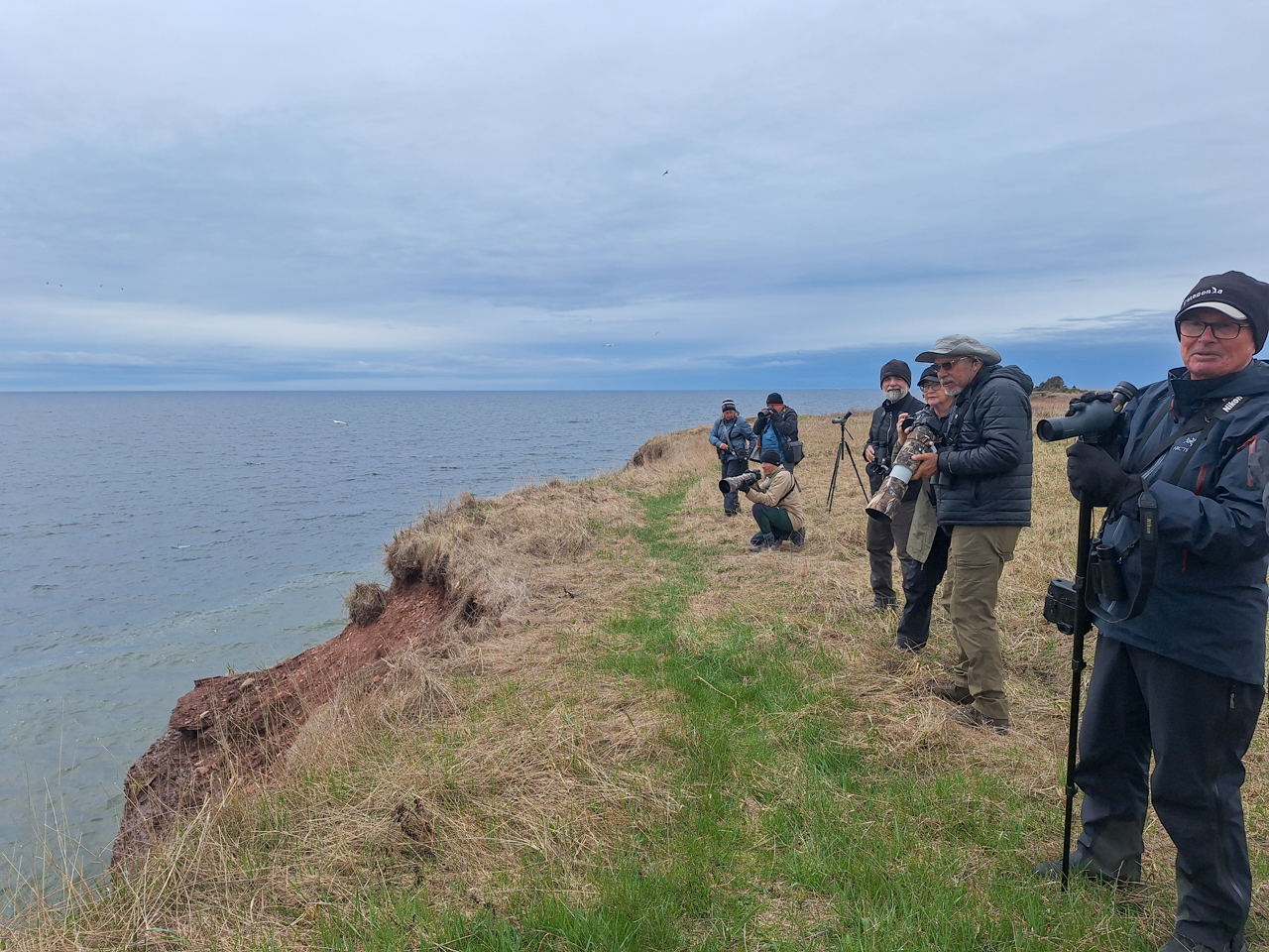Cap d'Espoir Seawatch