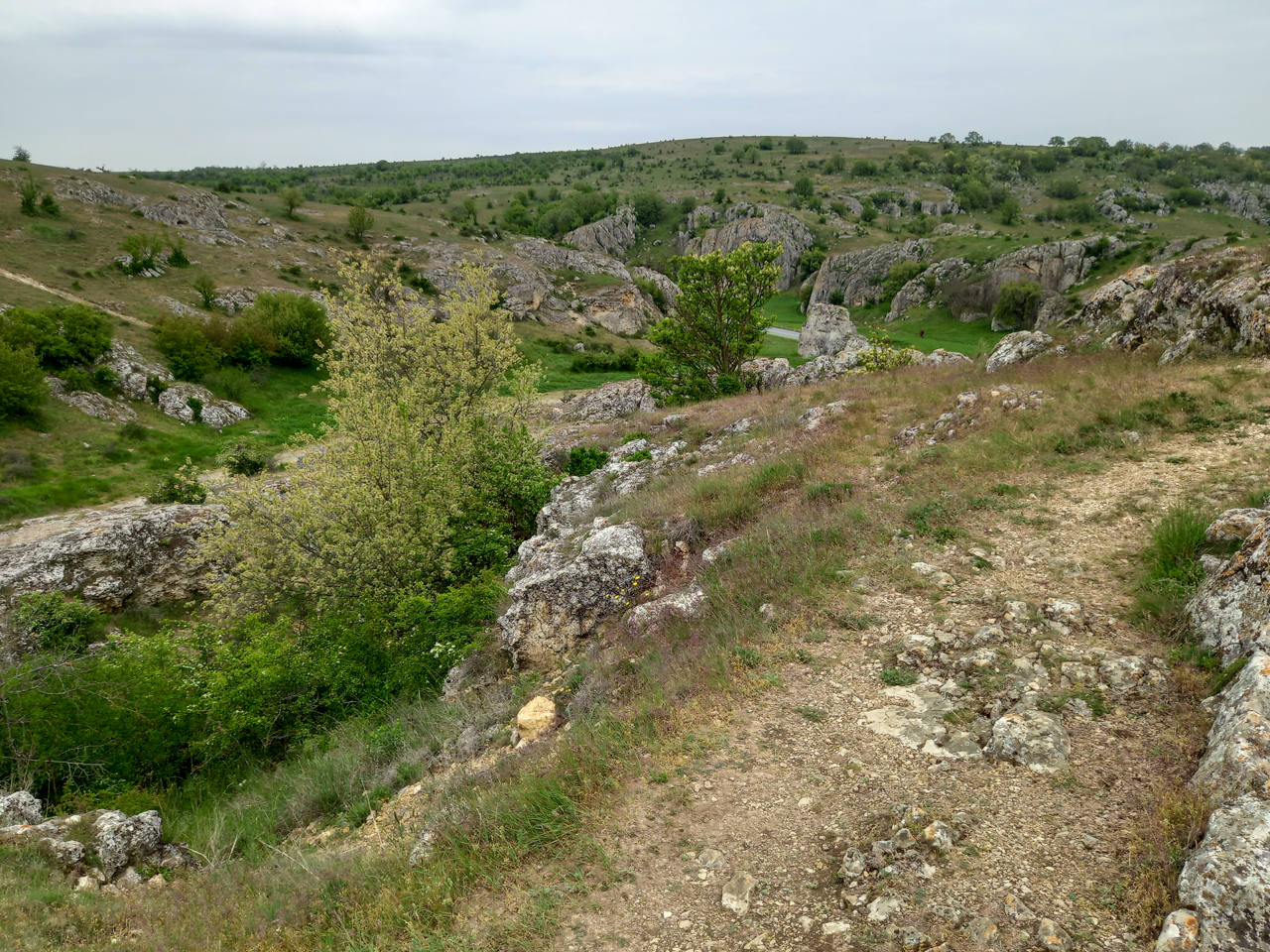 Cheia Gorge