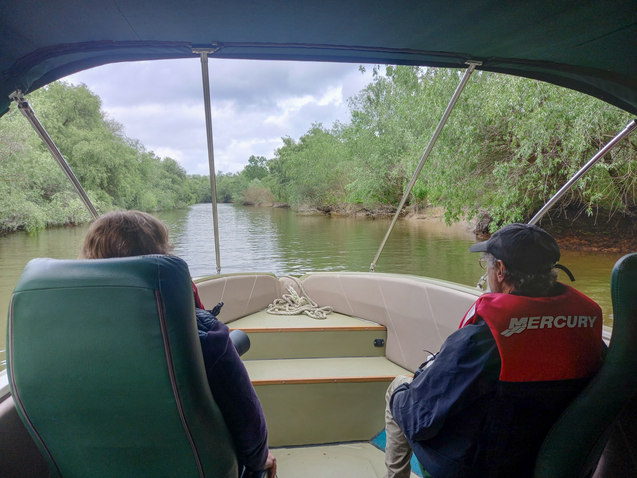 Danube delta