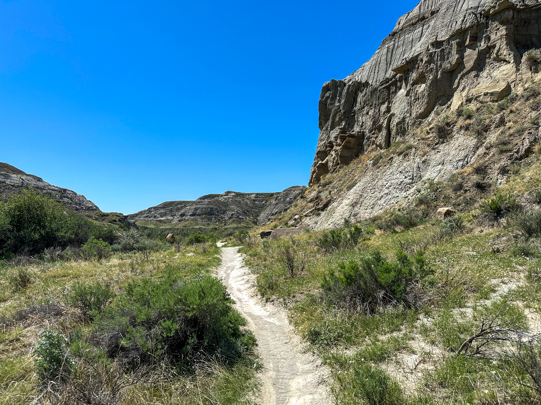 Dinosaur Park Trail