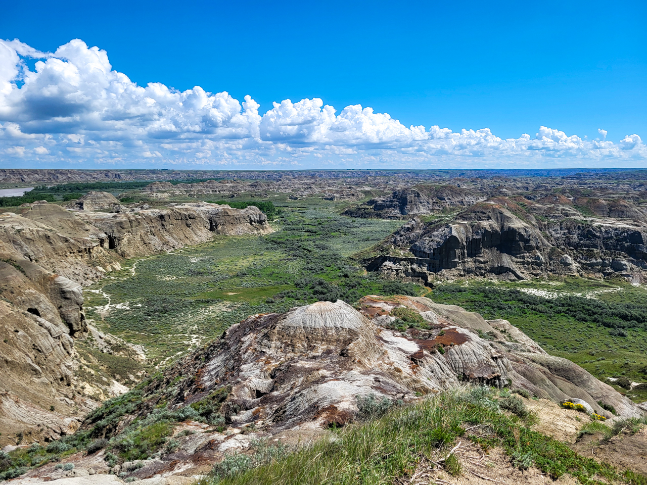 Dinosaur Provincial Park