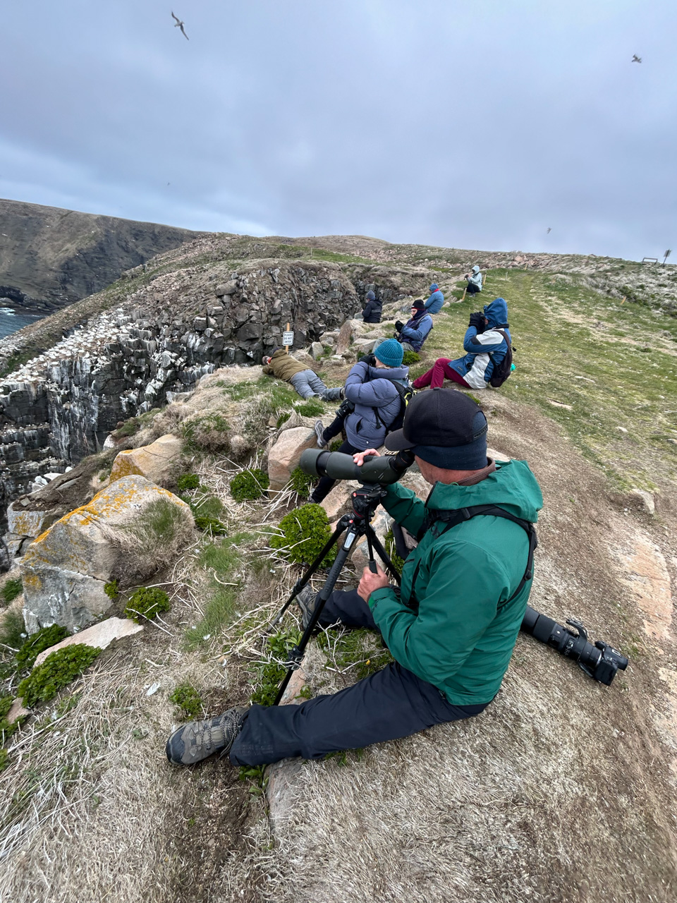 Enjoying the nesting seabirds