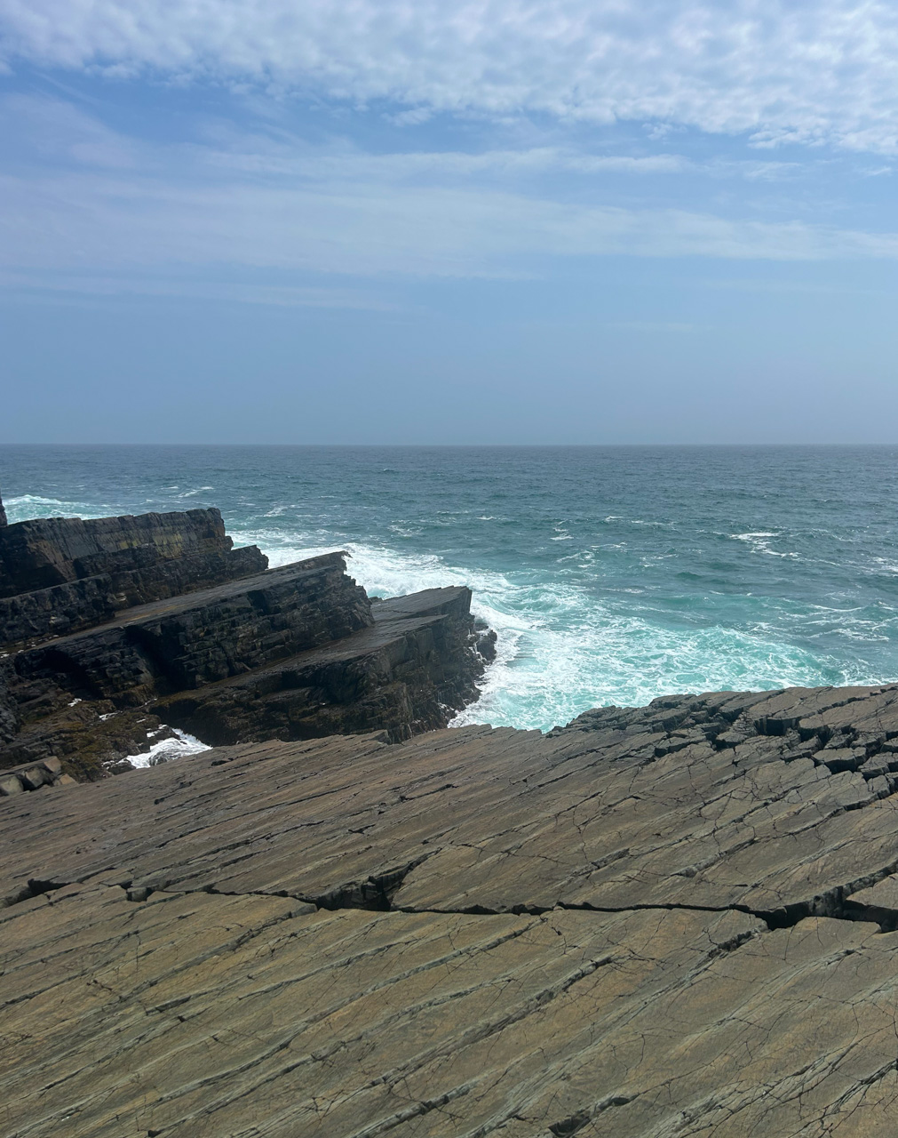 Fossil surface in foreground, Avalon coastline in background