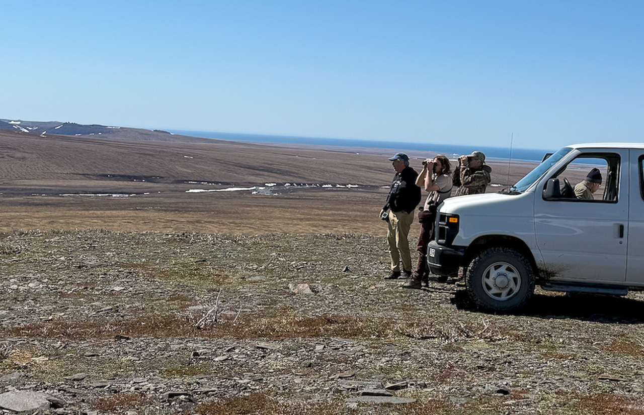Alaska Birding Tour