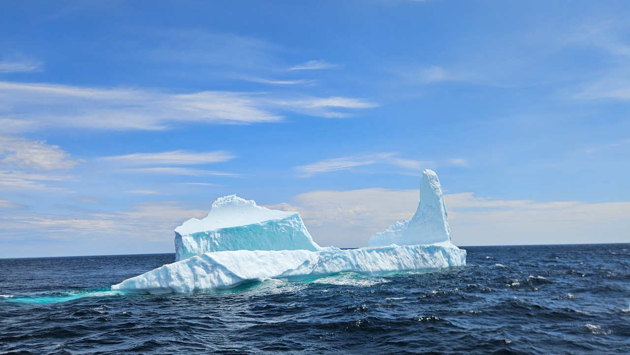 Iceberg