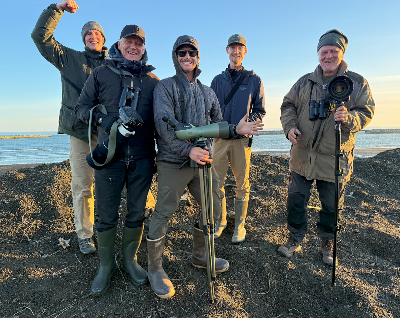 Ivory Gull twitch