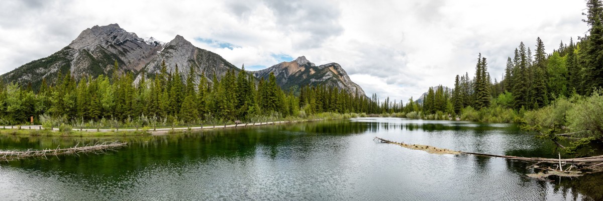 Canadian Rockies: Waterton Trip Report (Jun 6 – 11, 2026)