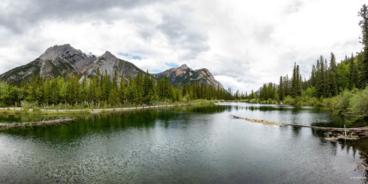 Canadian Rockies: Waterton Trip Report (Jun 6 – 11, 2026)