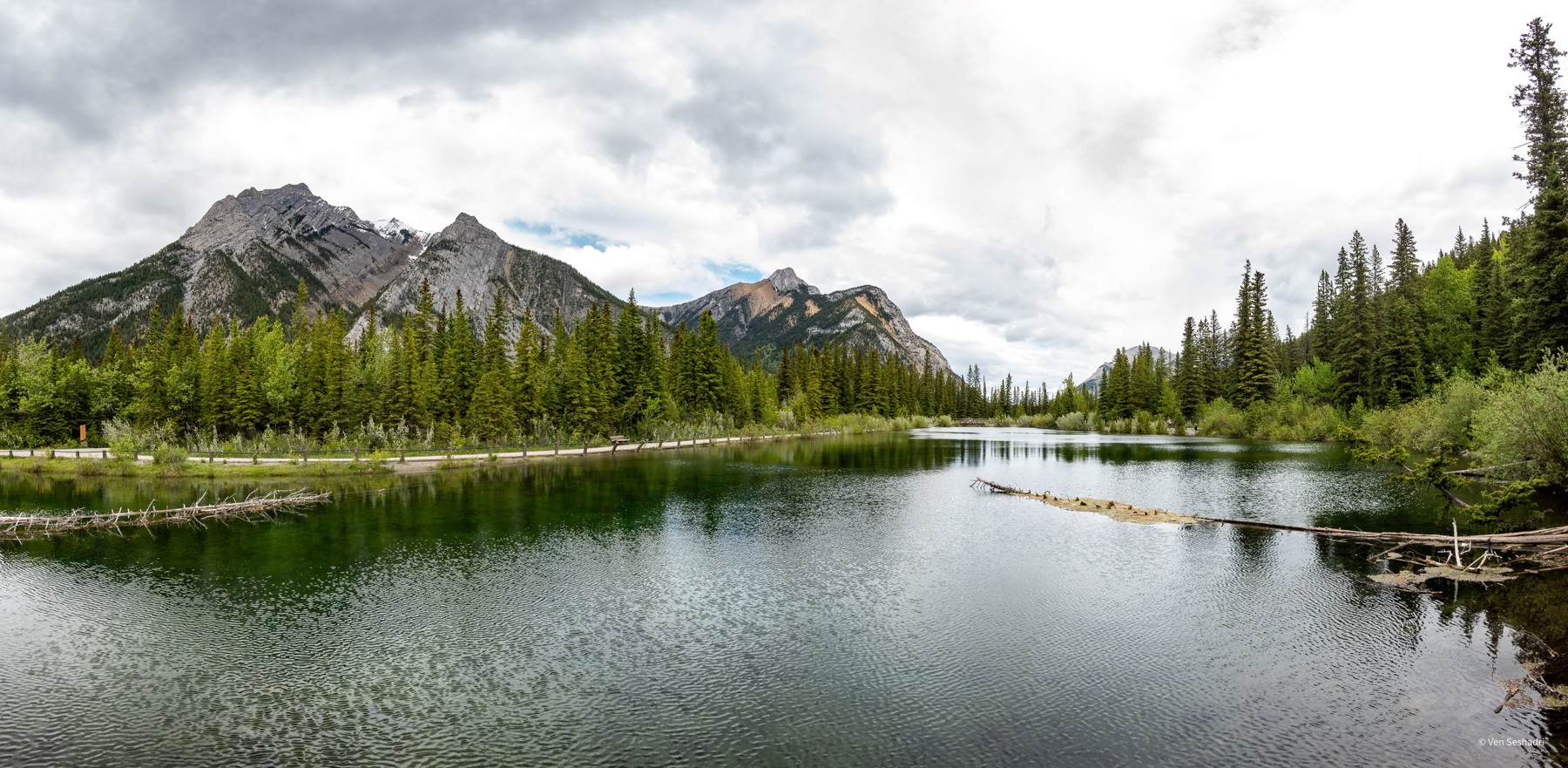 Canadian Rockies: Waterton Trip Report (Jun 6 – 11, 2026)