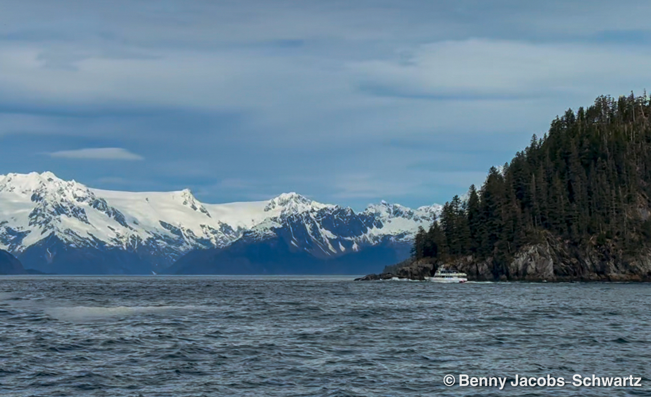 Kenai Fjords National Park