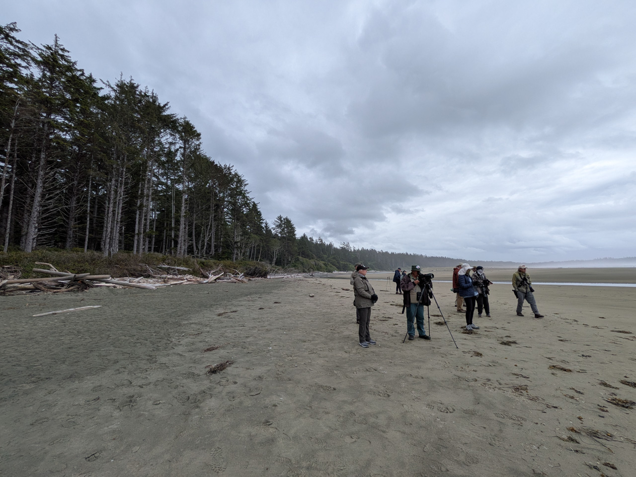 Ultimate British Columbia: Coast & Grasslands Trip Report (May 31 – June 12)