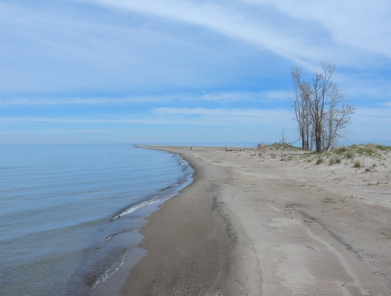 Long Point tip