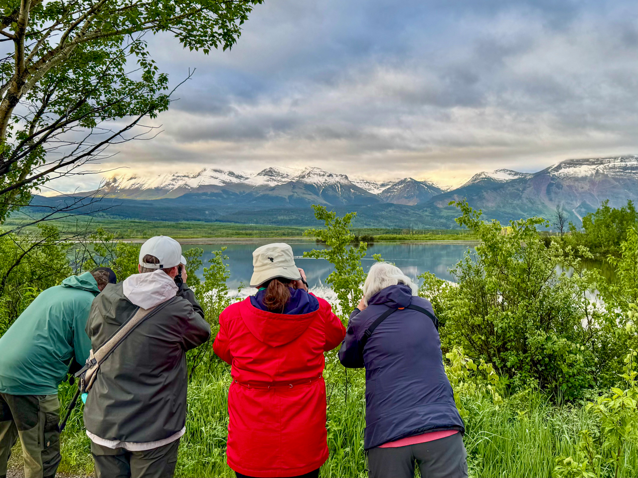 Morning birding at Maskinonge