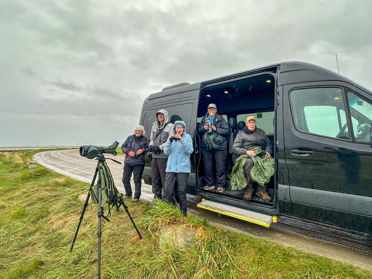 Rainy birding at Frank Lake