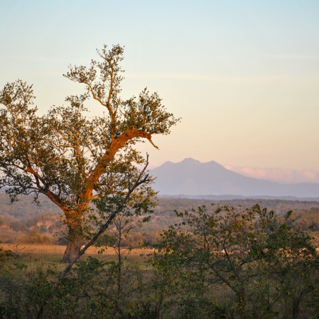 Guanacaste scenery