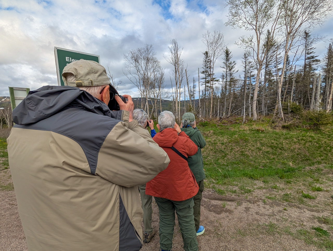 Taking photos of Bull Moose