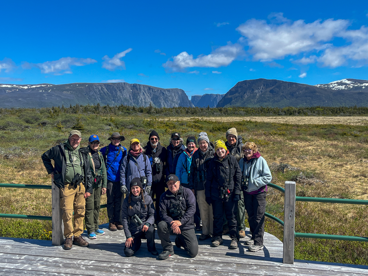 Newfoundland birding tour