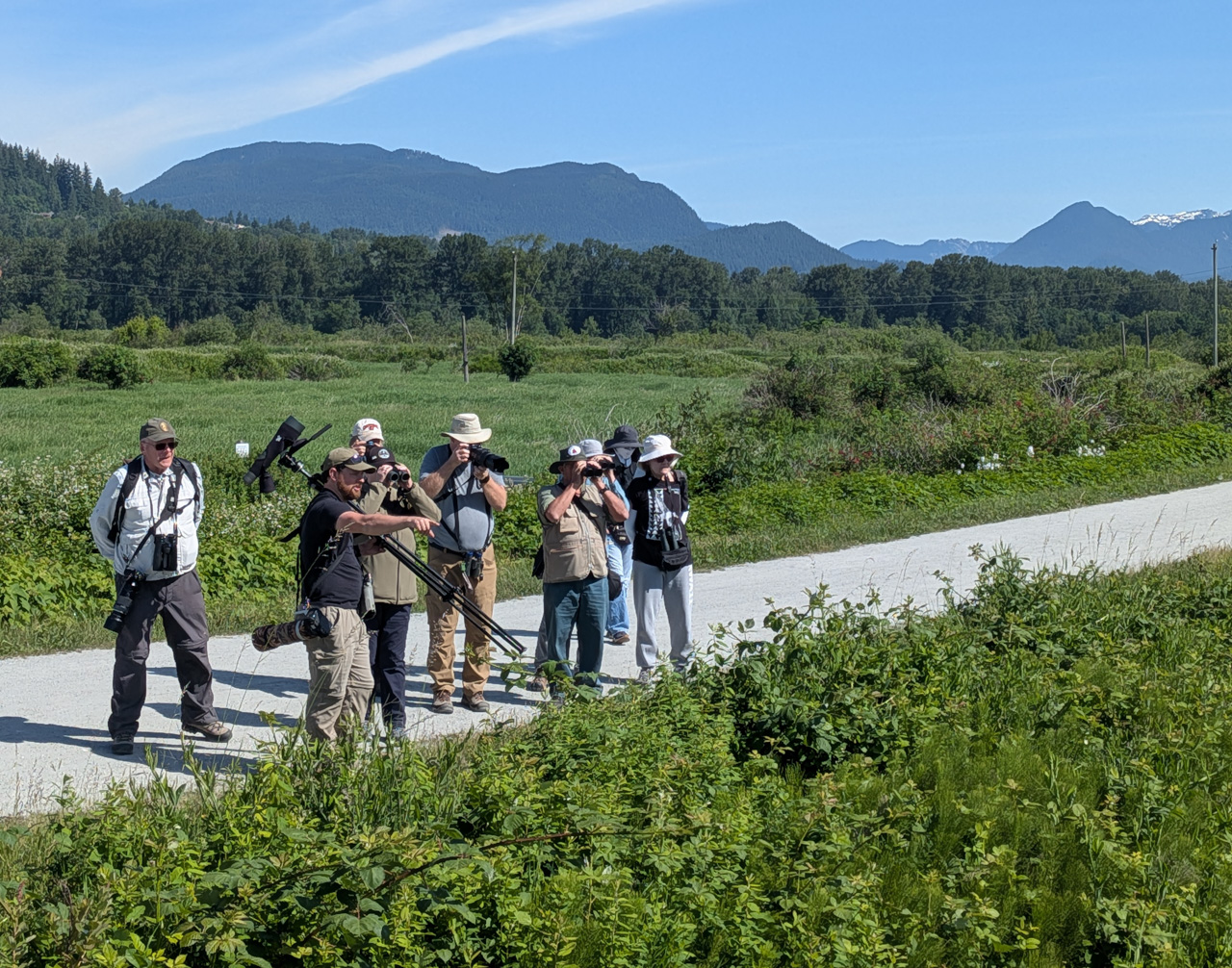 Ultimate British Columbia: Coast & Grasslands Trip Report (May 31 – June 12)