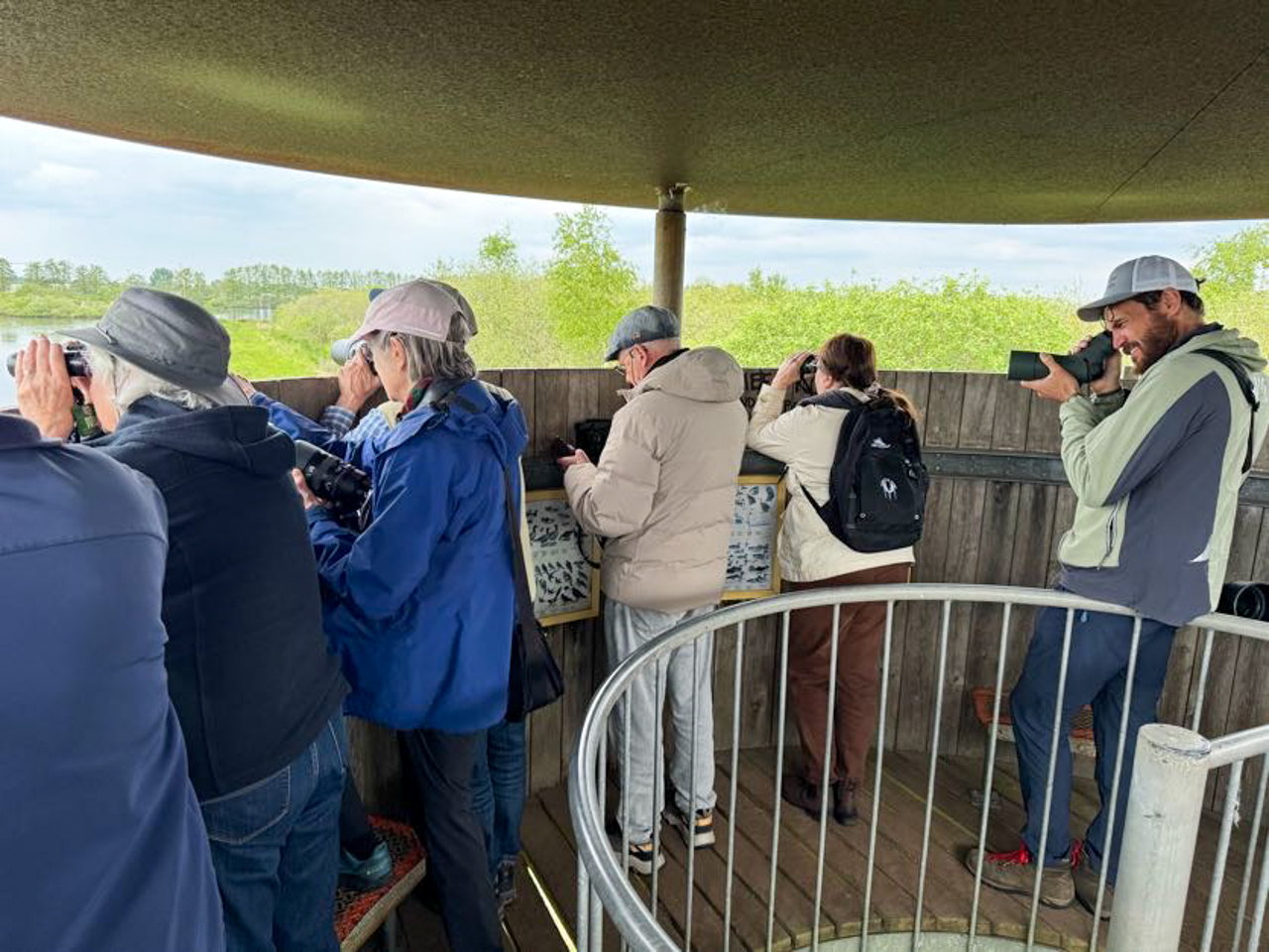 Birding tower