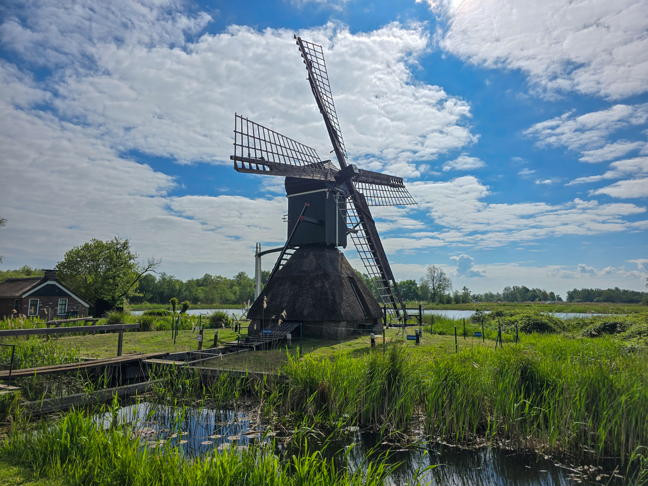 Windmill