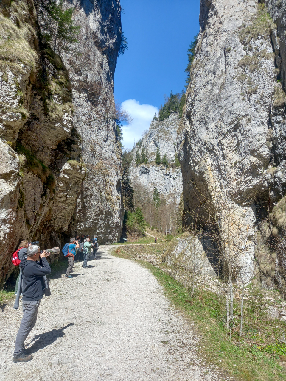 Zarnesti gorge 