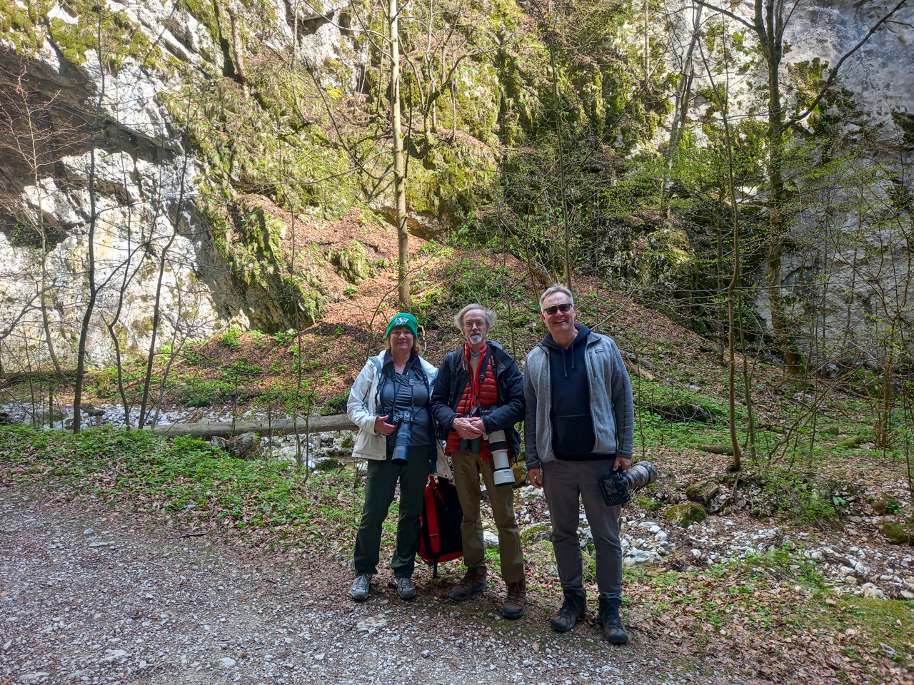Zarnesti gorge