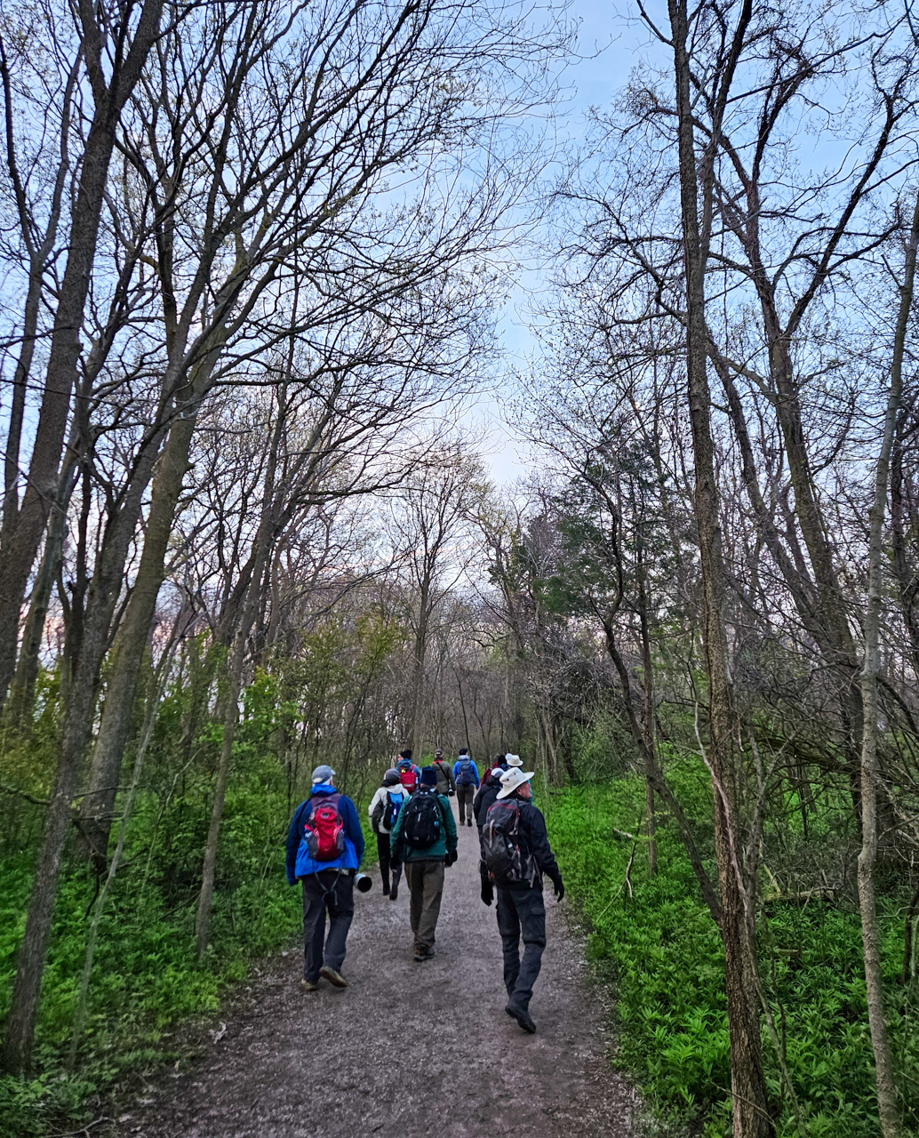 Birding on the trail Point Pelee