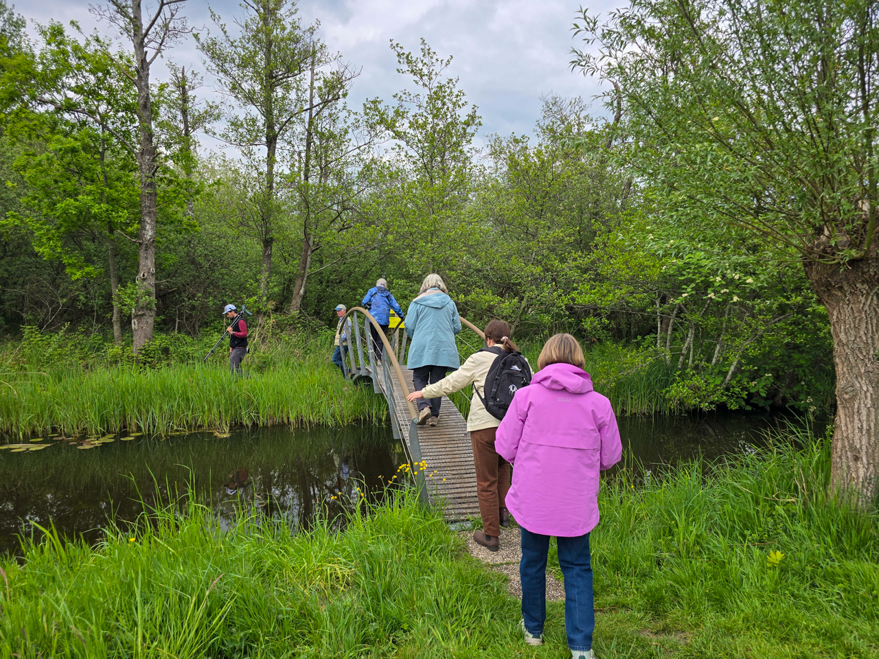 Walking bridge netherlands