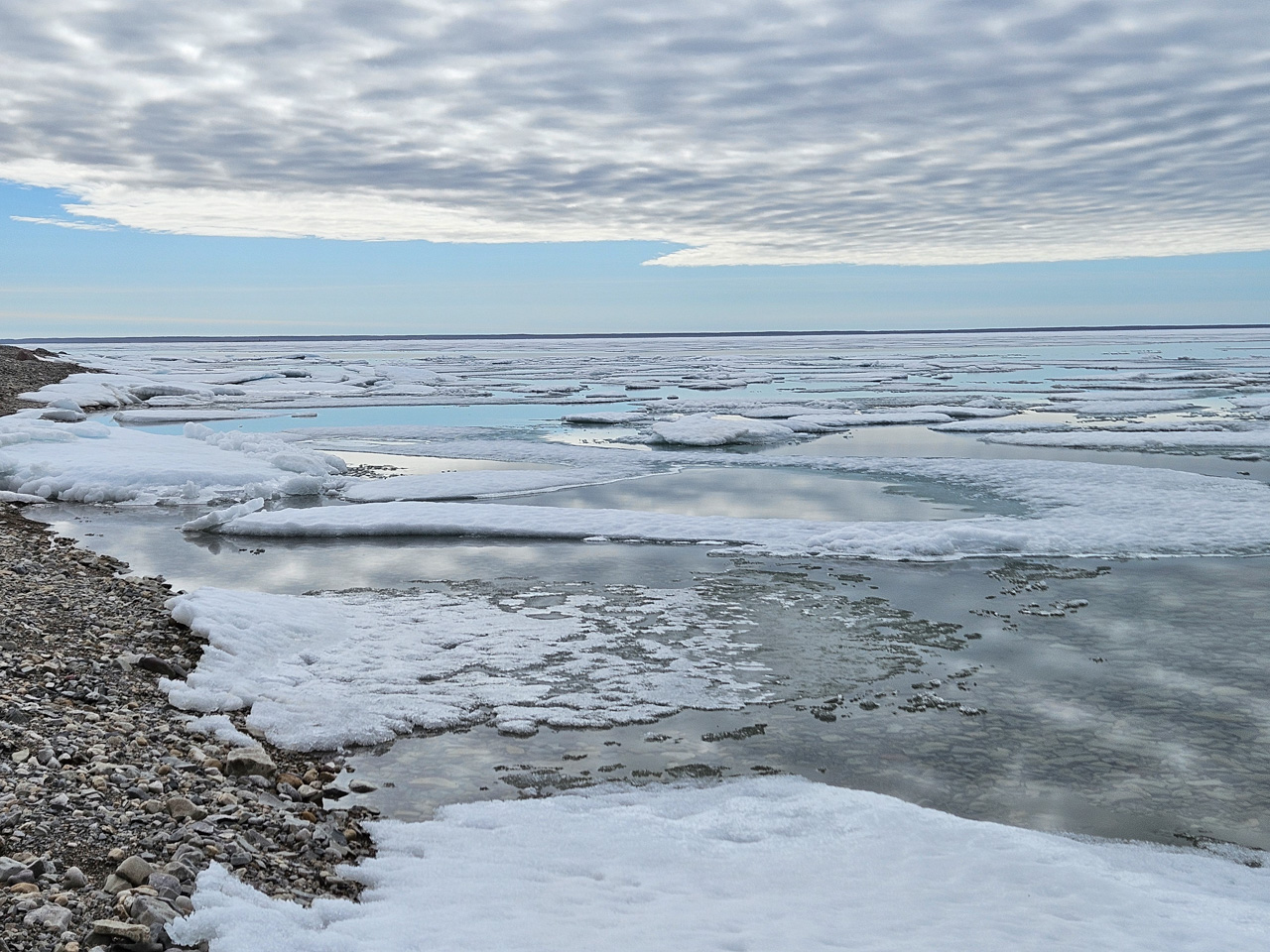 Dease Strait ice
